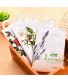 Túi thơm thảo mộc thiên nhiên treo tủ quần áo (vỏ trắng)